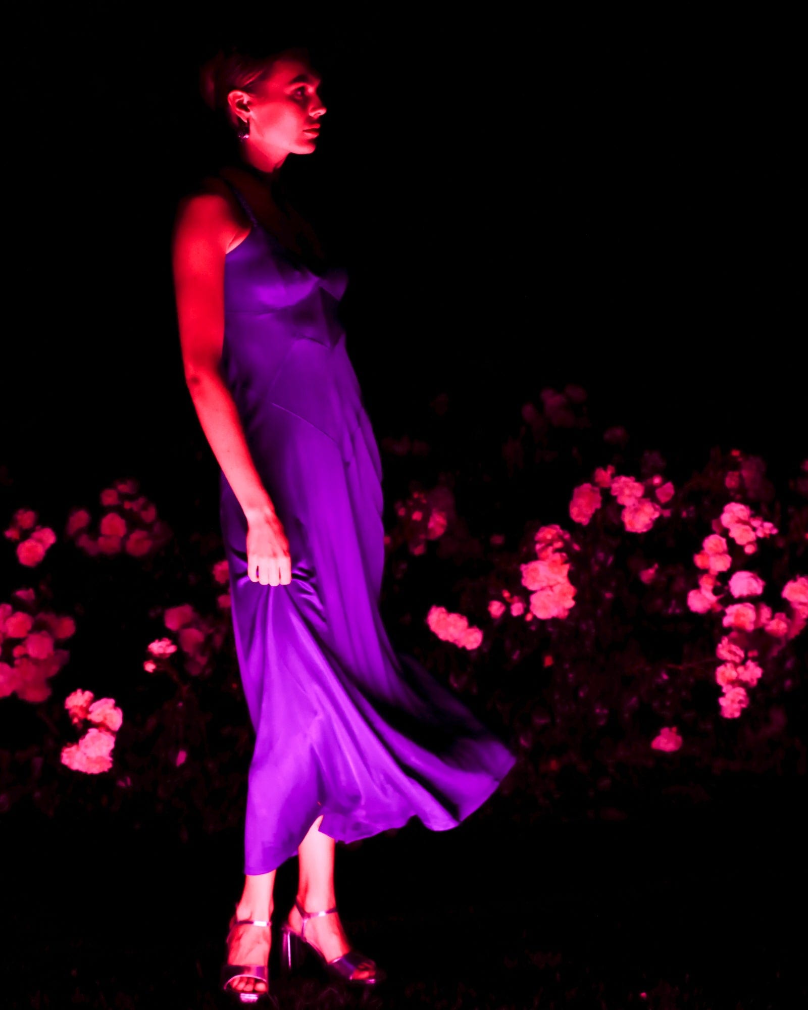 Wuthering Heights Dress - Iris Purple